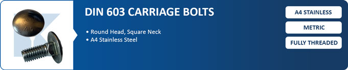 Product Information